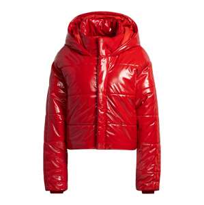 ADIDAS ORIGINALS Zimná bunda 'IVP'  červená