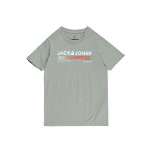 Jack & Jones Junior Tričko 'Raymond'  mätová / sivá / červená