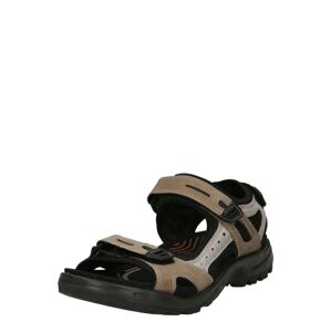 ECCO Trekingové sandále 'Offroad'  hnedá / sivá / čierna