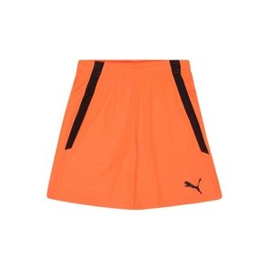 PUMA Športové nohavice 'TeamLIGA'  oranžová / čierna