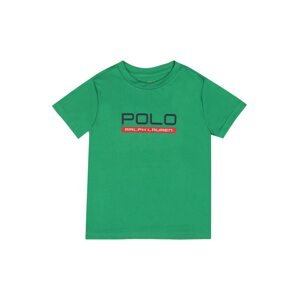 Polo Ralph Lauren Tričko  zelená / modrá / červená