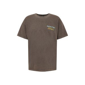 BDG Urban Outfitters Tričko  hnedá / zmiešané farby