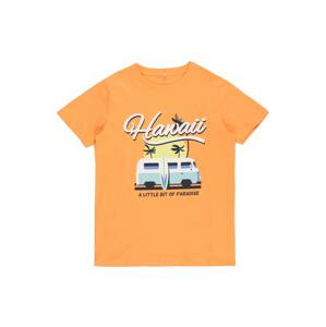 Guppy Tričko 'HUBERT'  oranžová / zmiešané farby