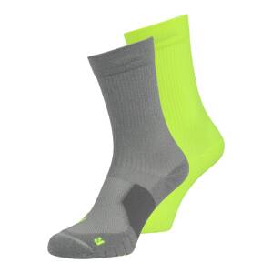 NIKE Športové ponožky 'Multiplier'  dymovo šedá / neónovo zelená