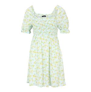 Trendyol Petite Letné šaty  azúrová / žltá / svetlozelená