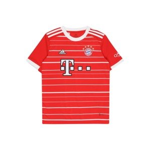 ADIDAS PERFORMANCE Funkčné tričko 'FC Bayern München 22/23'  ohnivo červená / čierna / biela