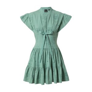 PINKO Košeľové šaty 'ALASSIO'  zelená