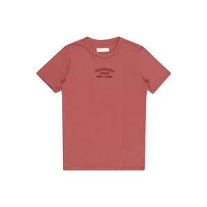 Abercrombie & Fitch Tričko  pastelovo červená / tmavočervená