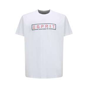 Esprit Big Size Tričko  červená / čierna / biela