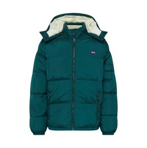 LEVI'S ® Zimná bunda 'Fillmore'  smaragdová / svetlozelená