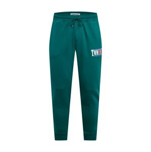 Tommy Jeans Nohavice  modrá / smaragdová / svetločervená / biela