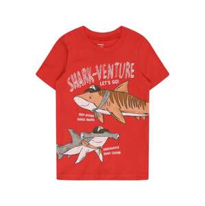 Carter's Tričko 'SHARKVENTURE'  zmiešané farby / červená
