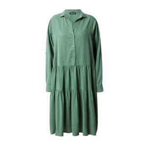 True Religion Košeľové šaty  pastelovo zelená