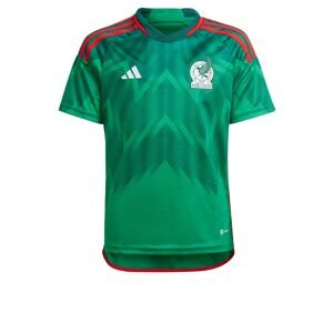 ADIDAS PERFORMANCE Funkčné tričko 'Mexiko 22'  zelená / červená / biela